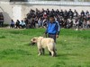 INGRANDISCI IMMAGINE